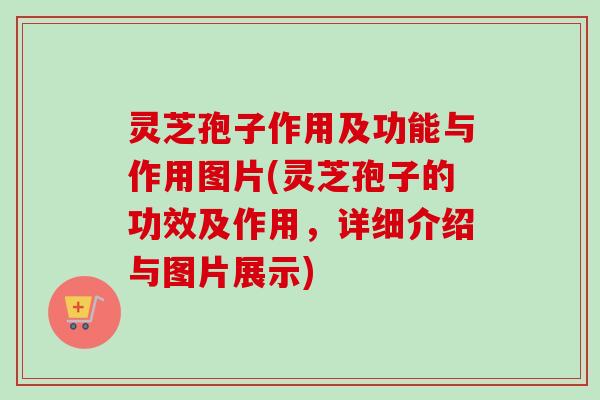 灵芝孢子作用及功能与作用图片(灵芝孢子的功效及作用,详细介绍与图片展示) 灵芝孢子作用及功能与作用图片(灵芝孢子的功效及作用,详细介绍与图片展示)