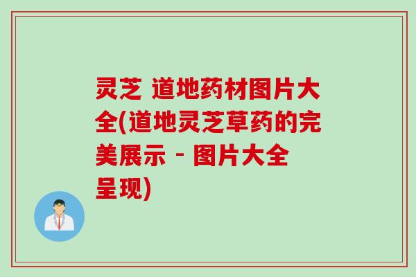 灵芝 道地药材图片大全(道地灵芝草药的完美展示 - 图片大全呈现)