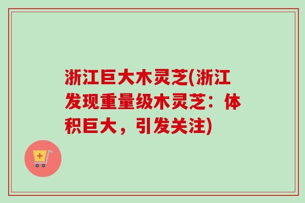 浙江巨大木灵芝(浙江发现重量级木灵芝：体积巨大，引发关注)