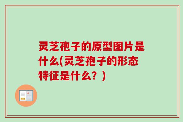 灵芝孢子的原型图片是什么(灵芝孢子的形态特征是什么？)