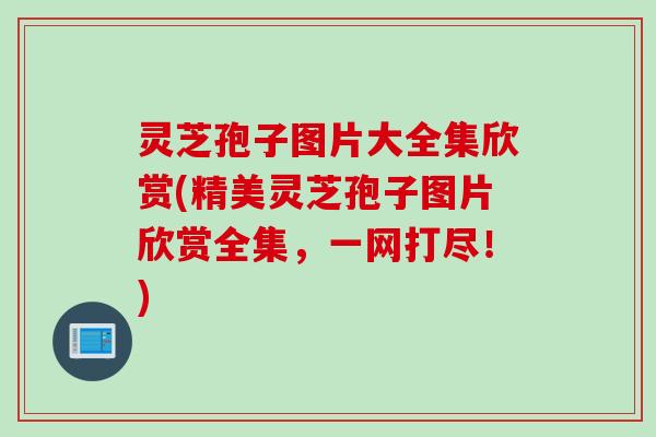 灵芝孢子图片大全集欣赏(精美灵芝孢子图片欣赏全集，一网打尽！)