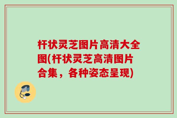 杆状灵芝图片高清大全图(杆状灵芝高清图片合集，各种姿态呈现)