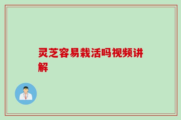 灵芝容易栽活吗视频讲解