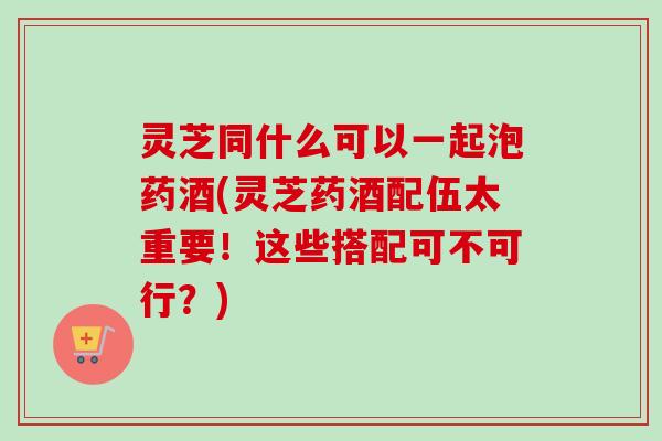 灵芝同什么可以一起泡药酒(灵芝药酒配伍太重要！这些搭配可不可行？)