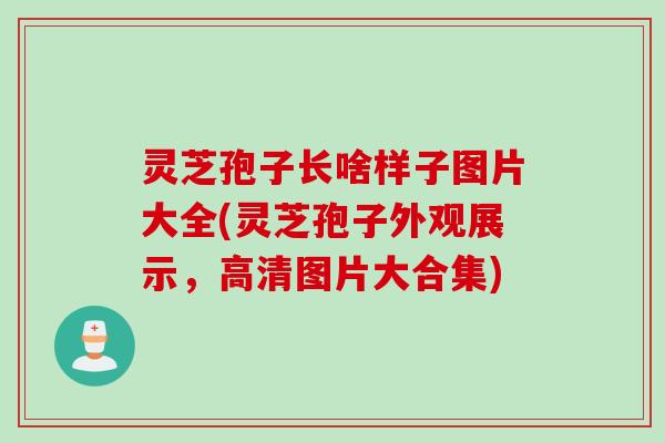灵芝孢子长啥样子图片大全(灵芝孢子外观展示，高清图片大合集)