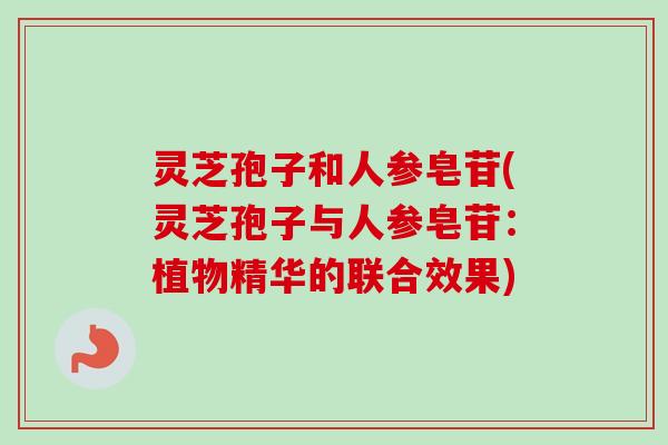 灵芝孢子和人参皂苷(灵芝孢子与人参皂苷：植物精华的联合效果)