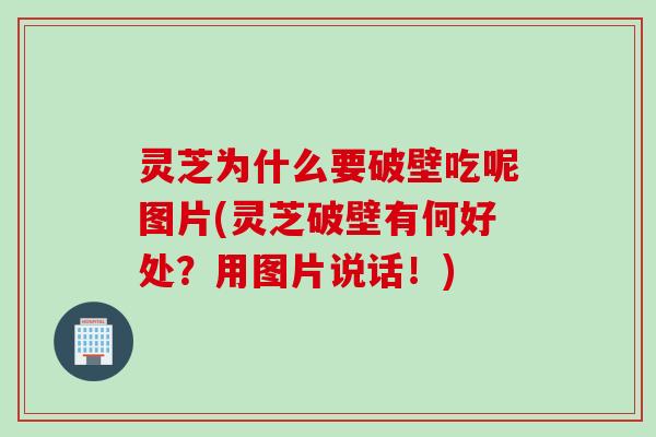 灵芝为什么要破壁吃呢图片(灵芝破壁有何好处?用图片说话!) 灵芝为什么要破壁吃呢图片(灵芝破壁有何好处?用图片说话!)
