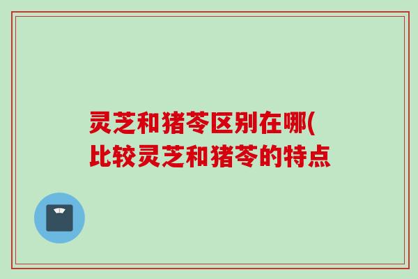 灵芝和猪苓区别在哪(比较灵芝和猪苓的特点