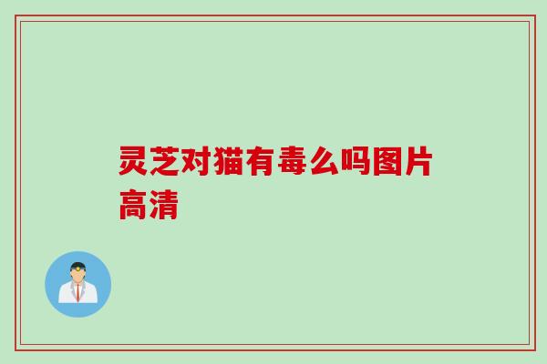 灵芝对猫有毒么吗图片高清