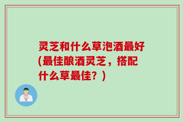 灵芝和什么草泡酒最好(最佳酿酒灵芝，搭配什么草最佳？)