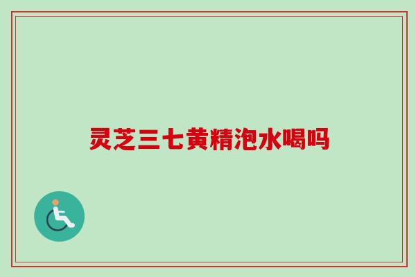 灵芝三七黄精泡水喝吗