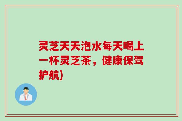 灵芝天天泡水每天喝上一杯灵芝茶，健康保驾护航)