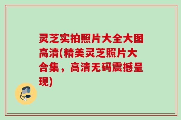 灵芝实拍照片大全大图高清(精美灵芝照片大合集，高清无码震撼呈现)