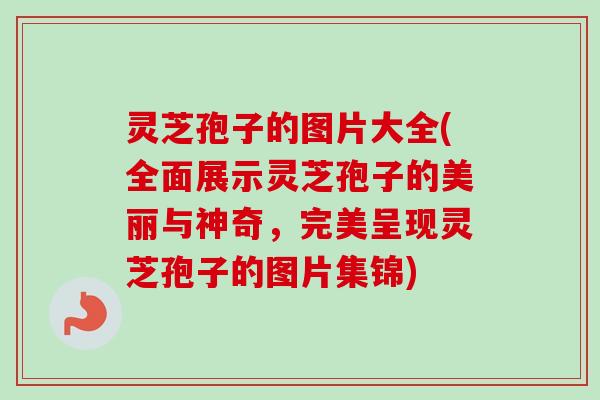 灵芝孢子的图片大全(全面展示灵芝孢子的美丽与神奇，完美呈现灵芝孢子的图片集锦)