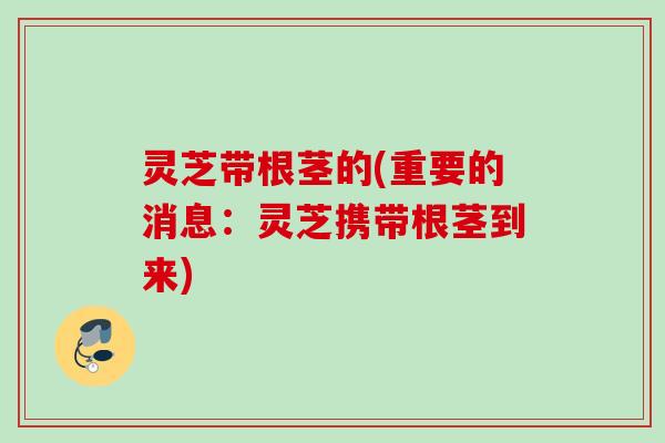 灵芝带根茎的(重要的消息:灵芝携带根茎到来) 灵芝带根茎的(重要的消息:灵芝携带根茎到来)