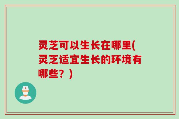 灵芝可以生长在哪里(灵芝适宜生长的环境有哪些？)