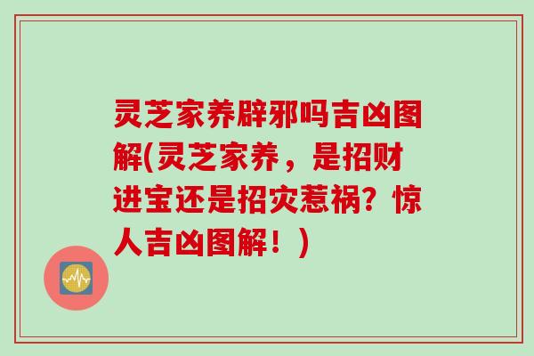 灵芝家养辟邪吗吉凶图解(灵芝家养，是招财进宝还是招灾惹祸？惊人吉凶图解！)