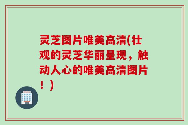 灵芝图片唯美高清(壮观的灵芝华丽呈现，触动人心的唯美高清图片！)