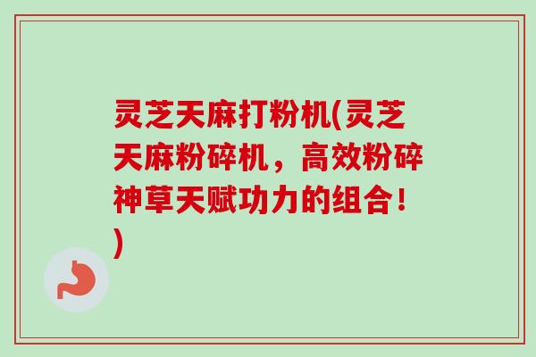 灵芝天麻打粉机(灵芝天麻粉碎机，高效粉碎神草天赋功力的组合！)