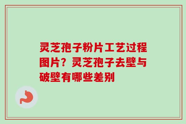 灵芝孢子粉片工艺过程图片?灵芝孢子去壁与破壁有哪些差别 灵芝孢子粉片工艺过程图片?灵芝孢子去壁与破壁有哪些差别