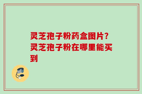 灵芝孢子粉药盒图片？灵芝孢子粉在哪里能买到