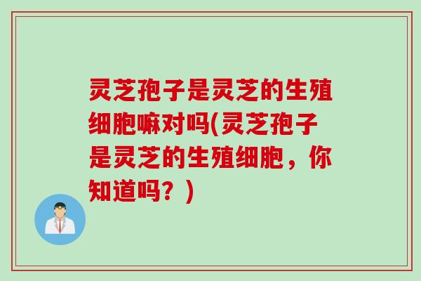 灵芝孢子是灵芝的生殖细胞嘛对吗(灵芝孢子是灵芝的生殖细胞，你知道吗？)