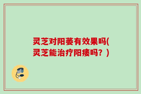 灵芝对阳萎有效果吗(灵芝能吗?) 灵芝对阳萎有效果吗(灵芝能吗?)
