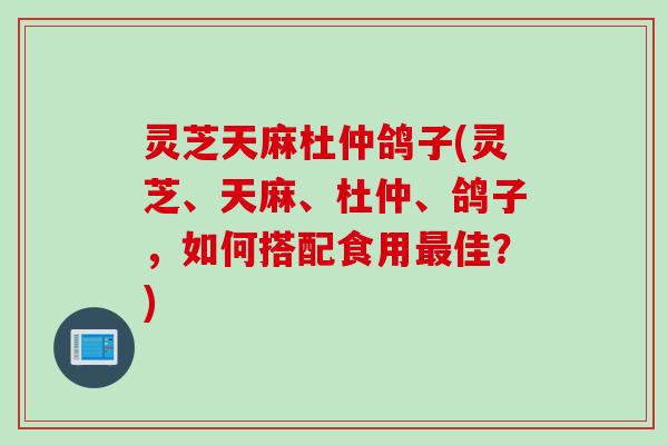 灵芝天麻杜仲鸽子(灵芝、天麻、杜仲、鸽子,如何搭配食用佳?) 灵芝天麻杜仲鸽子(灵芝、天麻、杜仲、鸽子,如何搭配食用佳?)
