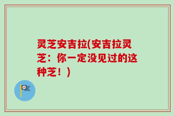 灵芝安吉拉(安吉拉灵芝:你一定没见过的这种芝!) 灵芝安吉拉(安吉拉灵芝:你一定没见过的这种芝!)