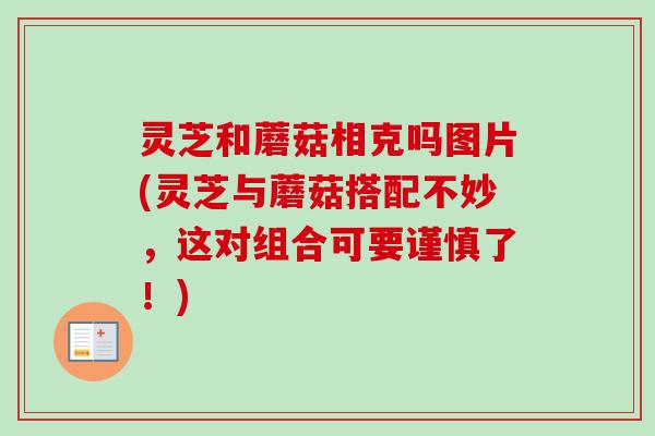 灵芝和蘑菇相克吗图片(灵芝与蘑菇搭配不妙，这对组合可要谨慎了！)