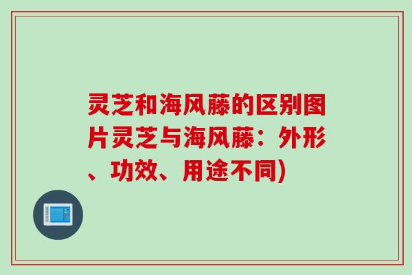 灵芝和海风藤的区别图片灵芝与海风藤：外形、功效、用途不同)