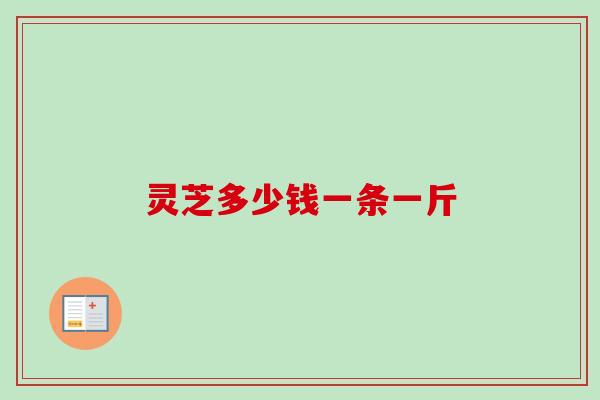 灵芝多少钱一条一斤