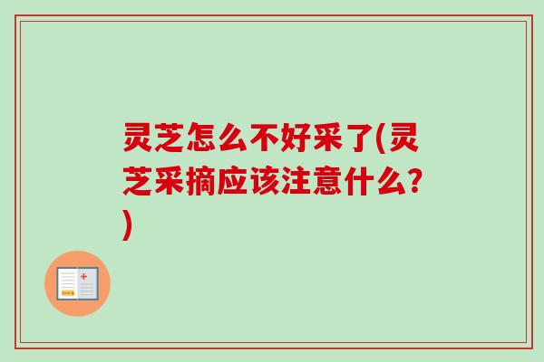 灵芝怎么不好采了(灵芝采摘应该注意什么？)