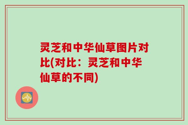 灵芝和中华仙草图片对比(对比：灵芝和中华仙草的不同)