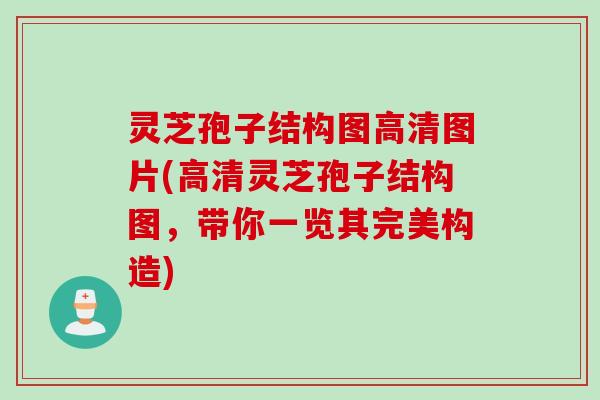 灵芝孢子结构图高清图片(高清灵芝孢子结构图，带你一览其完美构造)