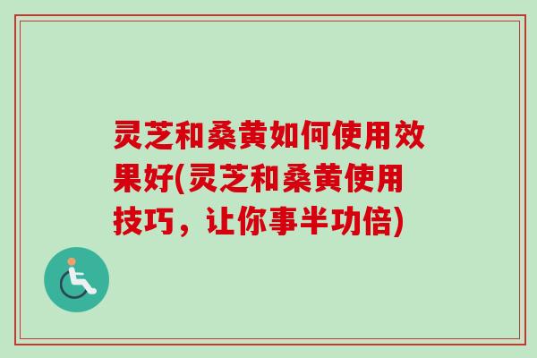 灵芝和桑黄如何使用效果好(灵芝和桑黄使用技巧，让你事半功倍)