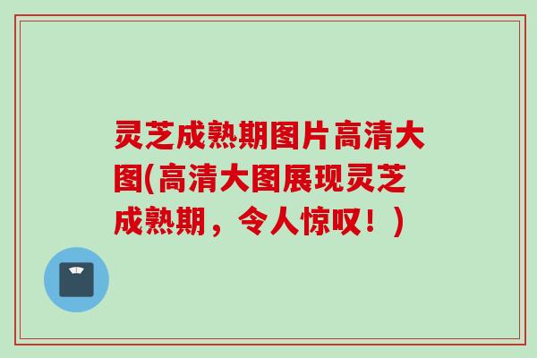 灵芝成熟期图片高清大图(高清大图展现灵芝成熟期，令人惊叹！)