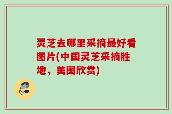 灵芝去哪里采摘最好看图片(中国灵芝采摘胜地，美图欣赏)