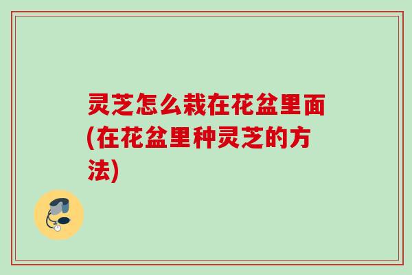 灵芝怎么栽在花盆里面(在花盆里种灵芝的方法)