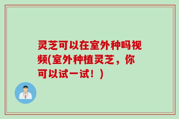 灵芝可以在室外种吗视频(室外种植灵芝,你可以试一试!) 灵芝可以在室外种吗视频(室外种植灵芝,你可以试一试!)