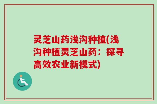 灵芝山药浅沟种植(浅沟种植灵芝山药：探寻高效农业新模式)
