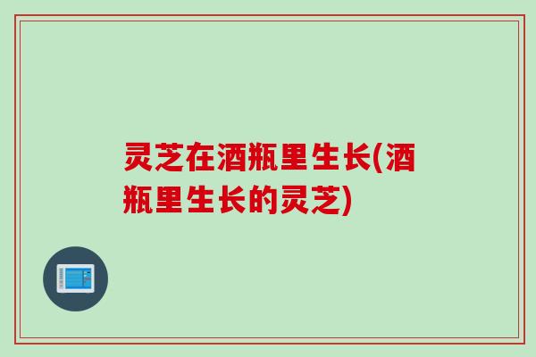 灵芝在酒瓶里生长(酒瓶里生长的灵芝) 灵芝在酒瓶里生长(酒瓶里生长的灵芝)