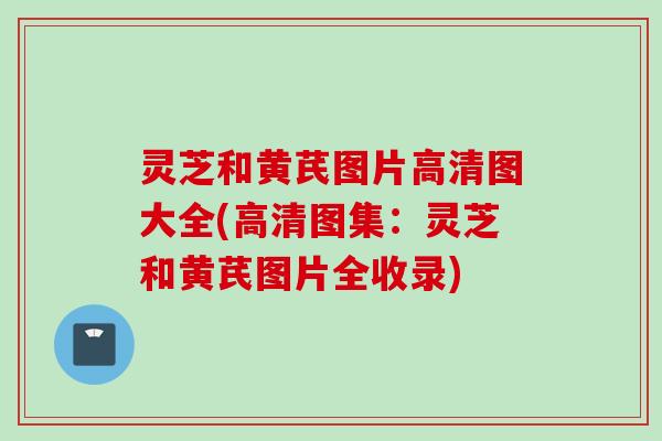 灵芝和黄芪图片高清图大全(高清图集：灵芝和黄芪图片全收录)
