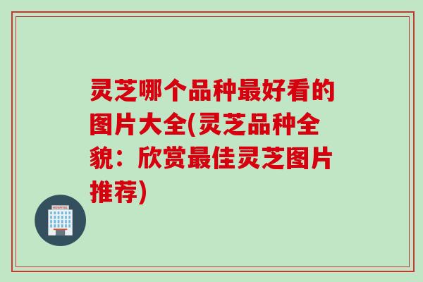 灵芝哪个品种最好看的图片大全(灵芝品种全貌：欣赏最佳灵芝图片推荐)