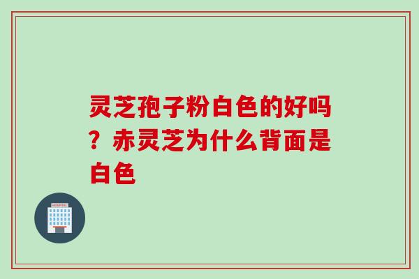 灵芝孢子粉白色的好吗？赤灵芝为什么背面是白色
