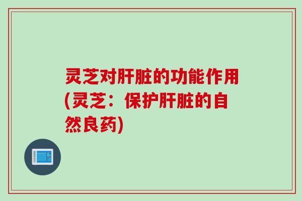 灵芝对肝脏的功能作用(灵芝：保护肝脏的自然良药)
