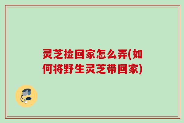 灵芝捡回家怎么弄(如何将野生灵芝带回家)