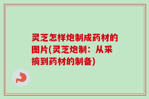 灵芝怎样炮制成药材的图片(灵芝炮制：从采摘到药材的制备)