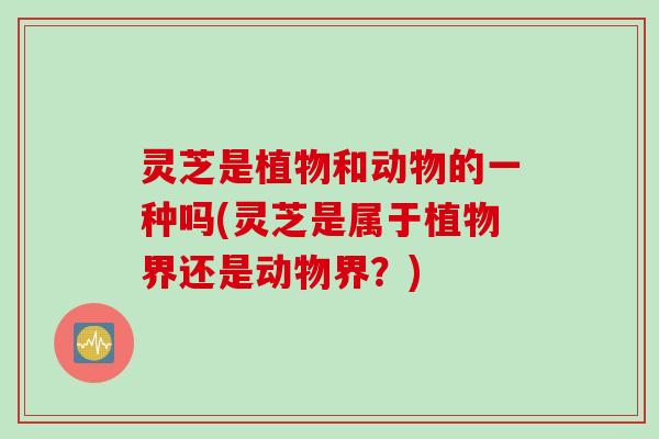 灵芝是植物和动物的一种吗(灵芝是属于植物界还是动物界？)