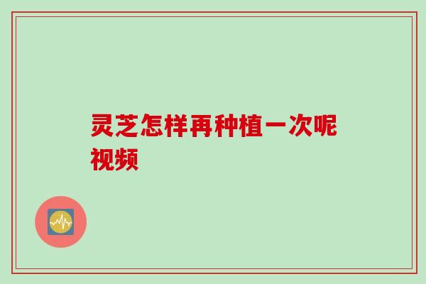 灵芝怎样再种植一次呢视频